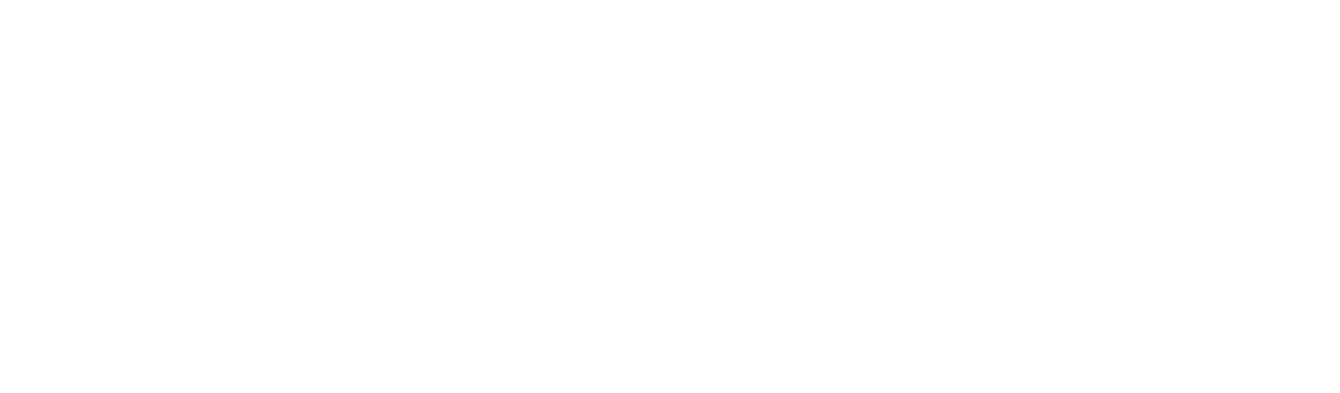 Saer Sport Business Logo Grande